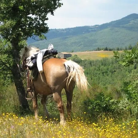 Guest house K I T Via Roma 69 Orvieto Tuscany Umbria Lazio *